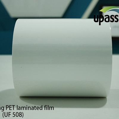 مكافحة الشيخوخة PET فيلم مغلفة فيلم تطبيق تسرب المياه