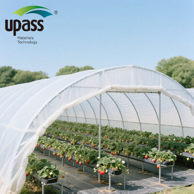 Ready to Ship UV Resistant PE Film Greenhouse Plastic Agriculture Polyhouse Greenhouse for Farm Use