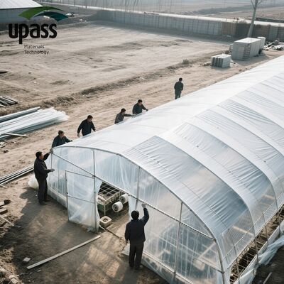 الزراعة الدفيئة فيلم ورقة لفة UV مضادة للكبح البلاستيكية الحقن المقاومة للماء