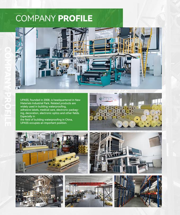 معلومات الشركة